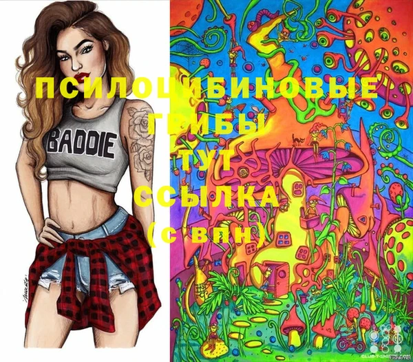 метамфетамин Алексеевка