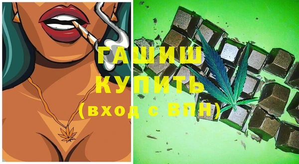 гашик Алексин