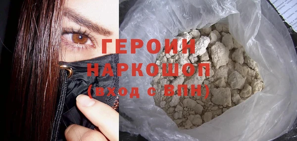 гашик Алексин