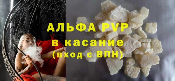 гашик Алексин