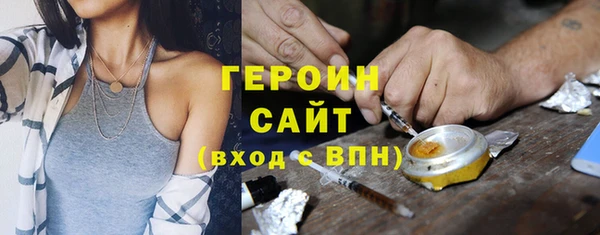 гашик Алексин