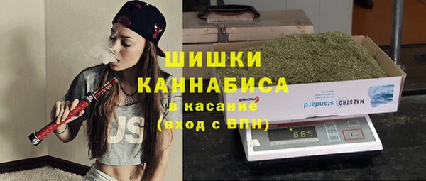 сатива Алзамай