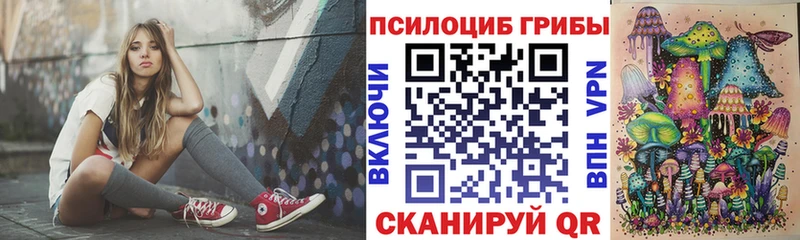 Псилоцибиновые грибы мицелий  Новошахтинск 