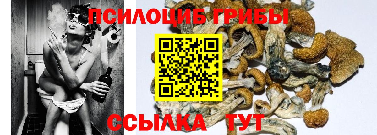 Галлюциногенные грибы прущие грибы Новошахтинск